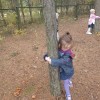 Przylul się do drzewa